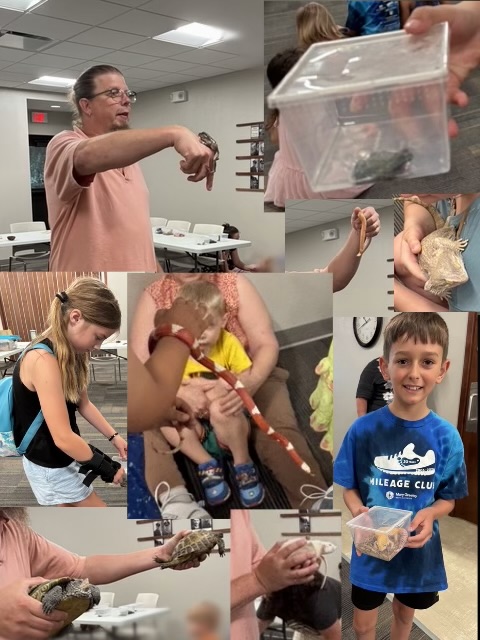 animals1.jpeg